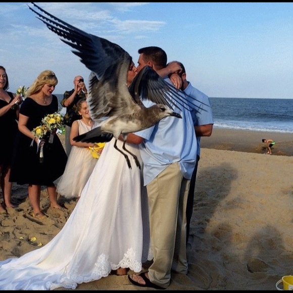 😁 - Picture 5 of 7